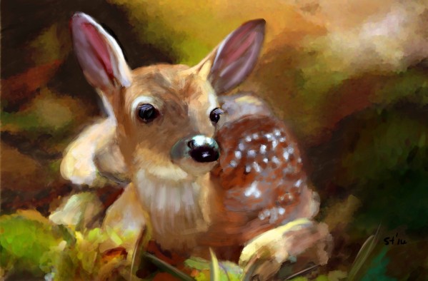 Contentment by Sarah Tracy